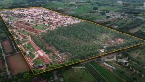 Construction Milestones at TUIG