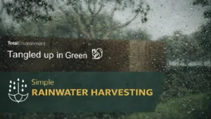 Sustainable Living: Rainwater Harvesting and Green Initiatives at TE Tangled up in Green