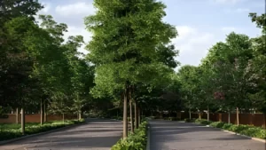 Emphasis on Natural Integration