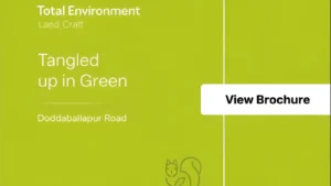 Tangled up in Green Brochure Download PDF
