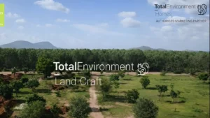 Top 10 Reasons to Invest in Total Environment Tangled up in Green