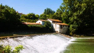 Sustainable Living