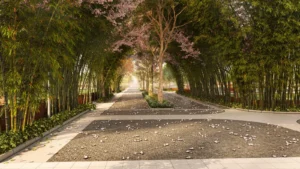 Tangled up in Green’s 8-Acre Eucalyptus Forest