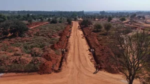 Total Environment Tangled Up in Green Construction Update