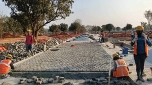 Total Environment Tangled Up in Green Construction Update