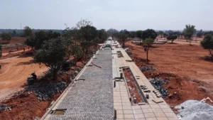 Total Environment Tangled Up in Green Construction Update