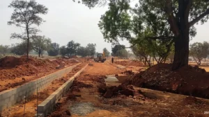 Total Environment Tangled Up in Green Construction Update