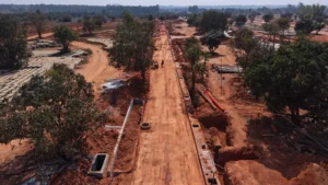 Total Environment Tangled Up in Green Construction Update