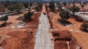 Total Environment Tangled Up in Green Construction Update